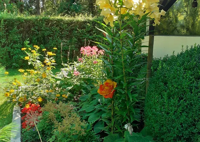 Posejdon Wydmowa 16-1 Semesterbostad *