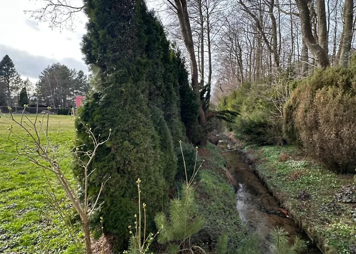 Posejdon Wydmowa 16-1